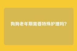 狗狗老年期需要特殊护理吗？