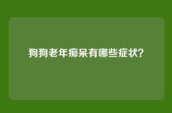 狗狗老年痴呆有哪些症状？