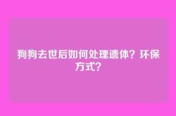 狗狗去世后如何处理遗体？环保方式？
