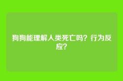 狗狗能理解人类死亡吗？行为反应？