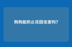 狗狗能防止花园虫害吗？