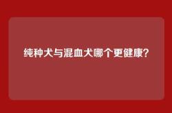 纯种犬与混血犬哪个更健康？
