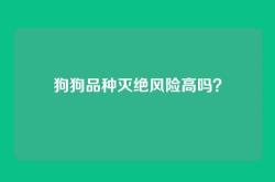 狗狗品种灭绝风险高吗？