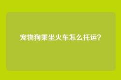 宠物狗乘坐火车怎么托运？