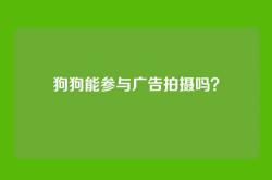 狗狗能参与广告拍摄吗？