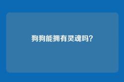 狗狗能拥有灵魂吗？