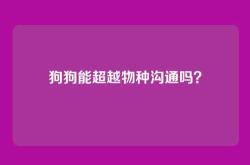 狗狗能超越物种沟通吗？