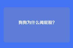 狗狗为什么闻屁股？