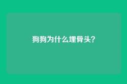 狗狗为什么埋骨头？