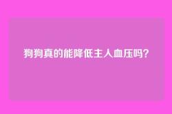狗狗真的能降低主人血压吗？