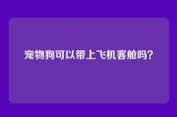 宠物狗可以带上飞机客舱吗？