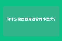 为什么独居者更适合养小型犬？