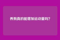 养狗真的能增加运动量吗？