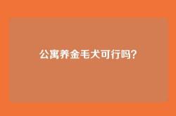 公寓养金毛犬可行吗？