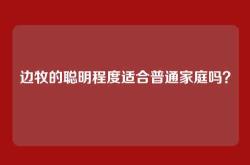 边牧的聪明程度适合普通家庭吗？