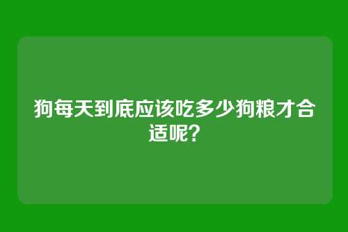 狗每天到底应该吃多少狗粮才合适呢？