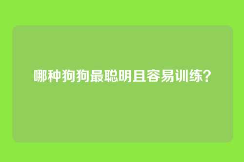 哪种狗狗最聪明且容易训练?