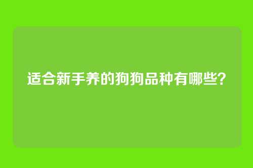 适合新手养的狗狗品种有哪些？