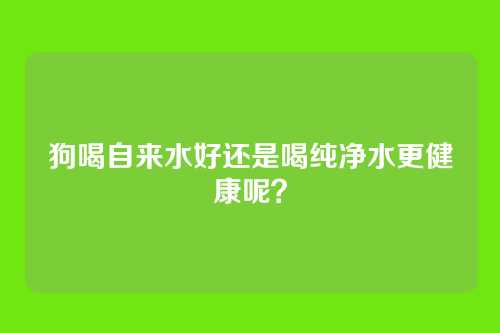 狗喝自来水好还是喝纯净水更健康呢？