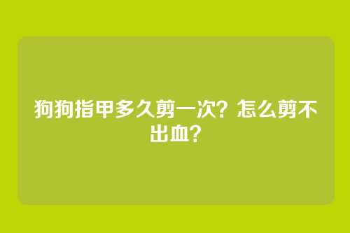 狗狗指甲多久剪一次?怎么剪不出血?