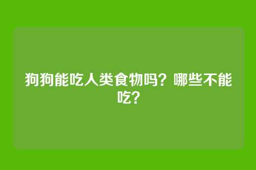 狗狗能吃人类食物吗？哪些不能吃？