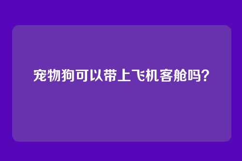 宠物狗可以带上飞机客舱吗？