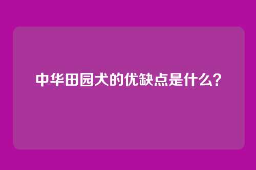 中华田园犬的优缺点是什么?