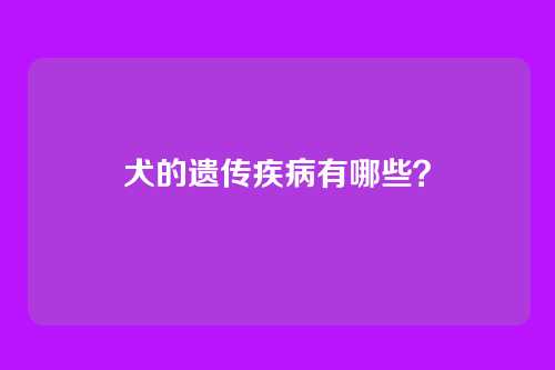 犬的遗传疾病有哪些？
