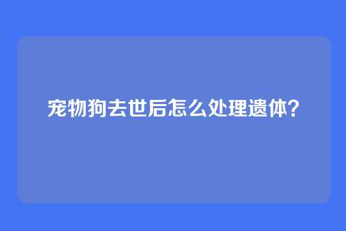 宠物狗去世后怎么处理遗体?