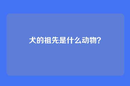 犬的祖先是什么动物？