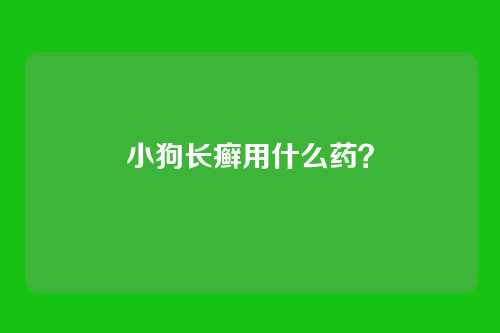小狗长癣用什么药？
