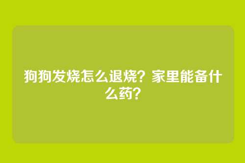 狗狗发烧怎么退烧?家里能备什么药?