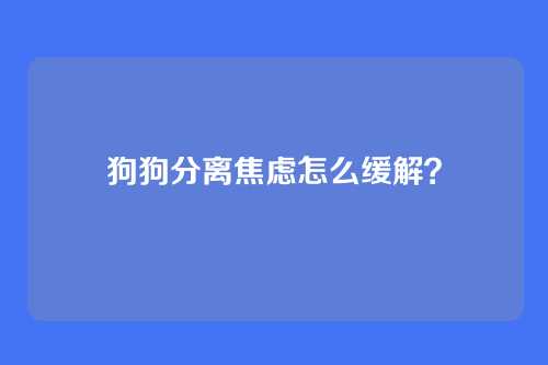 狗狗分离焦虑怎么缓解？