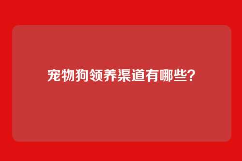 宠物狗领养渠道有哪些?
