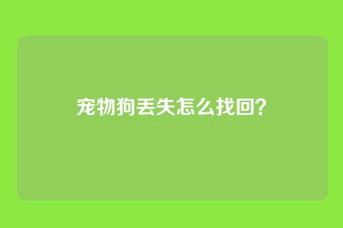 宠物狗丢失怎么找回?