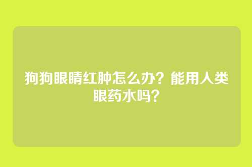 狗狗眼睛红肿怎么办？能用人类眼药水吗？