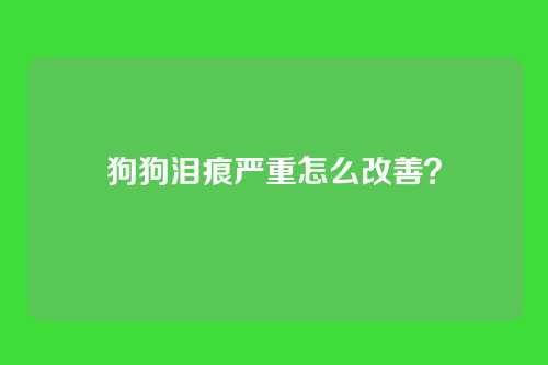 狗狗泪痕严重怎么改善?