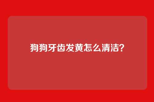 狗狗牙齿发黄怎么清洁？