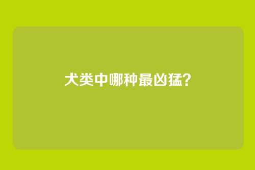 犬类中哪种最凶猛？