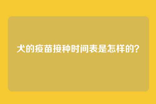 犬的疫苗接种时间表是怎样的？