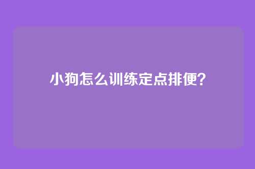小狗怎么训练定点排便？