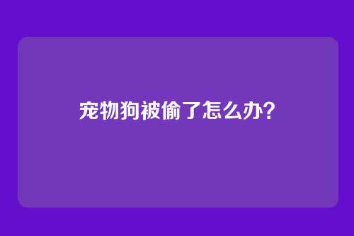 宠物狗被偷了怎么办？
