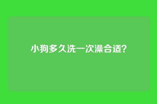 小狗多久洗一次澡合适？