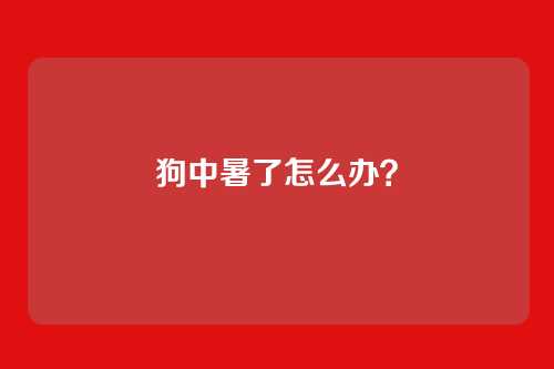 狗中暑了怎么办？