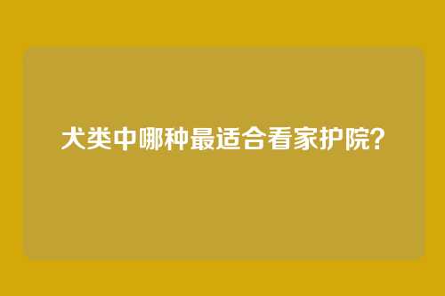 犬类中哪种最适合看家护院？