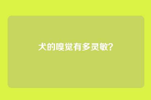 犬的嗅觉有多灵敏？