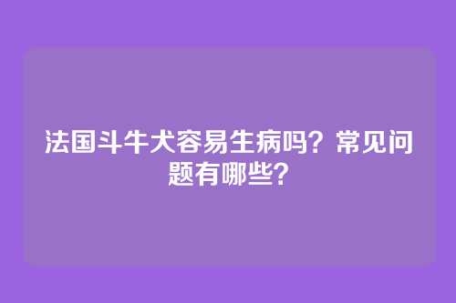 法国斗牛犬容易生病吗?常见问题有哪些?