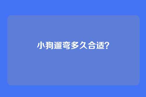 小狗遛弯多久合适？