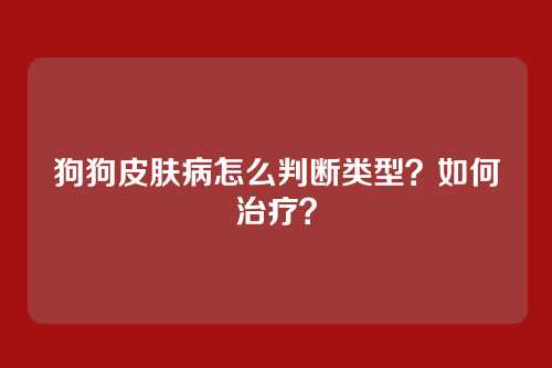 狗狗皮肤病怎么判断类型?如何治疗?