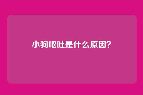 小狗呕吐是什么原因？